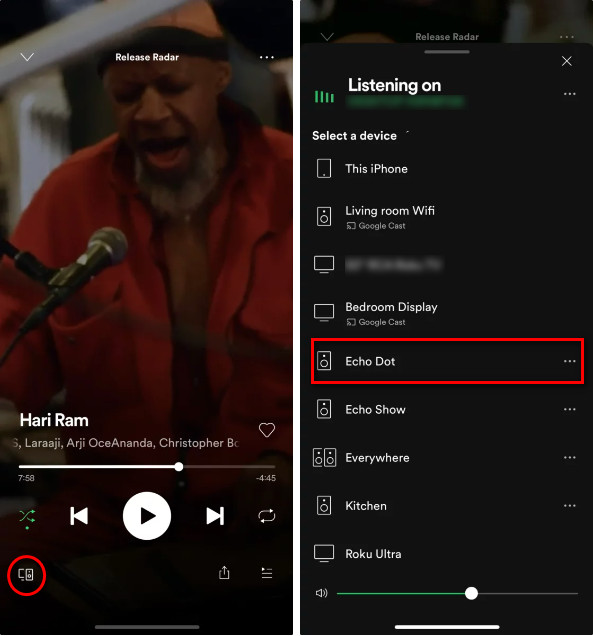 Play Spotify on Amazon Echo via Spotify App