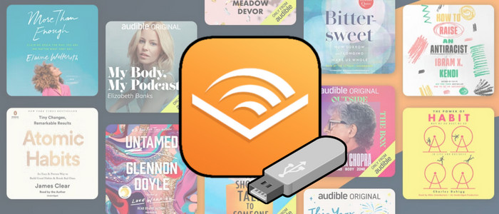 Download Audible Audiobooks to USB