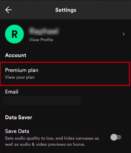 Check Spotify Subscription Status