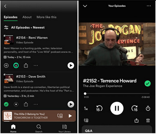 Download Spotify Video Offline