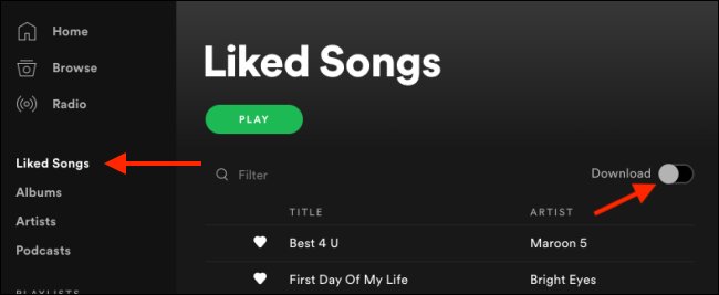 Download Spotify Liked Songs