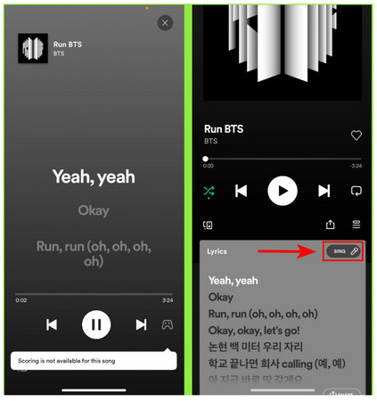 Spotify Karaoke Mode Mobile