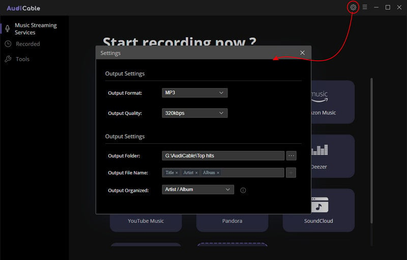 Set MP3 as the output format