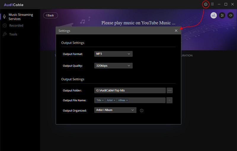 set the output parameters of YouTube Music