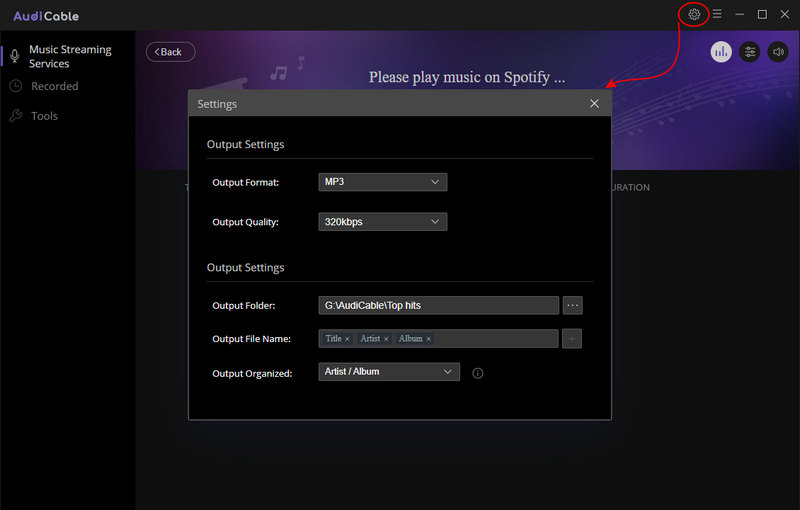output settings of spotify music